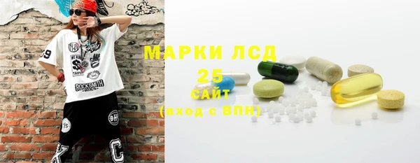 гашик Сосновый Бор
