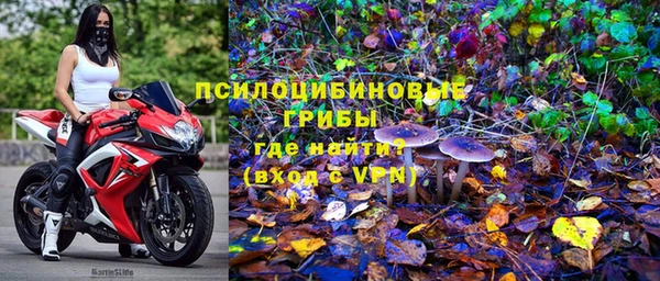 дмт Балахна